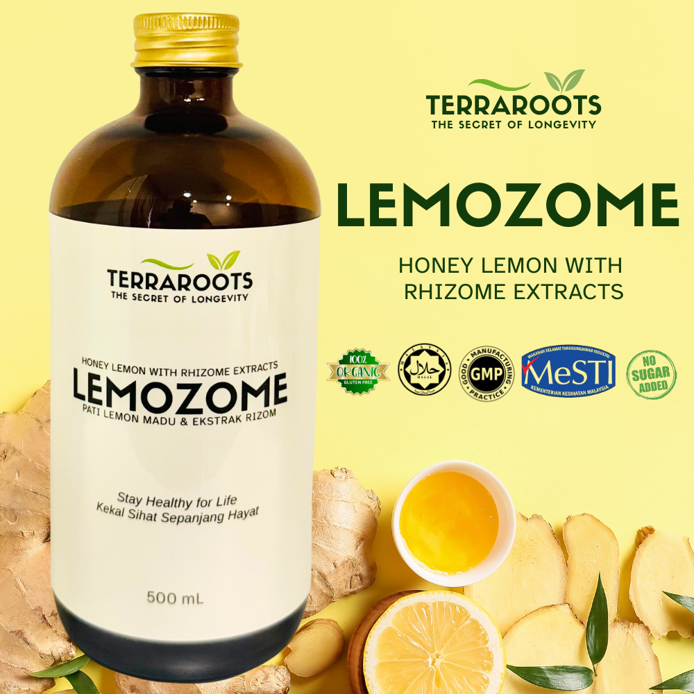 LEMOZOME Honey Lemon with Rhizom Extracts 500 mL